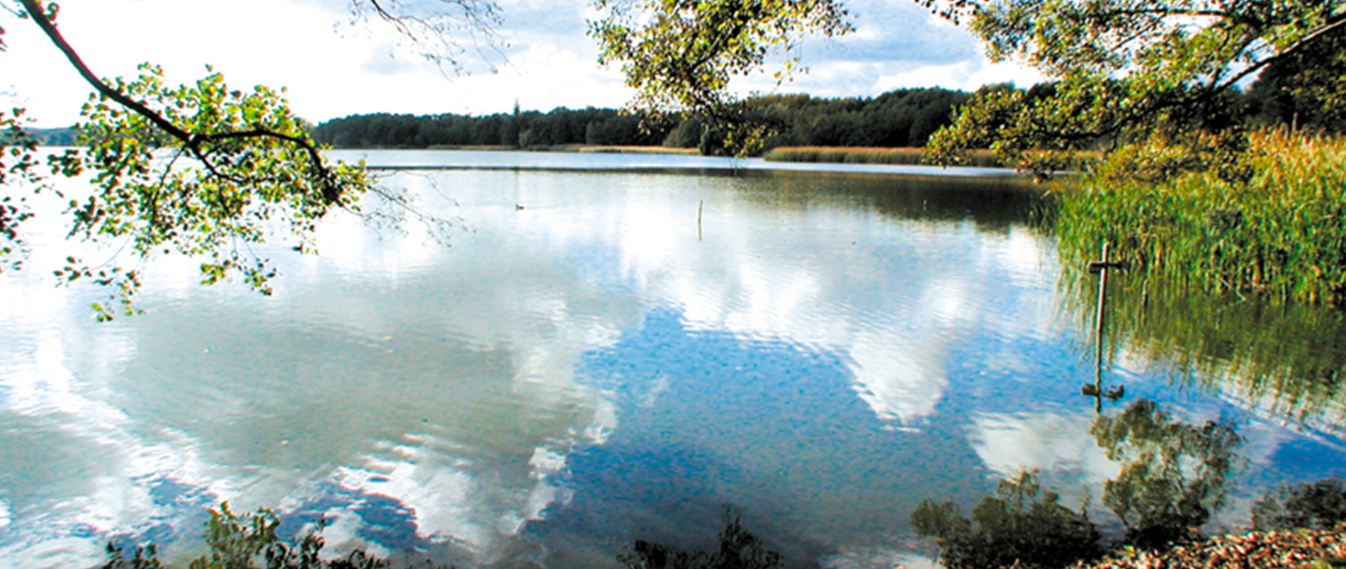 Idyllischer See mit Wolkenreflexionen und umgebenden Bäumen