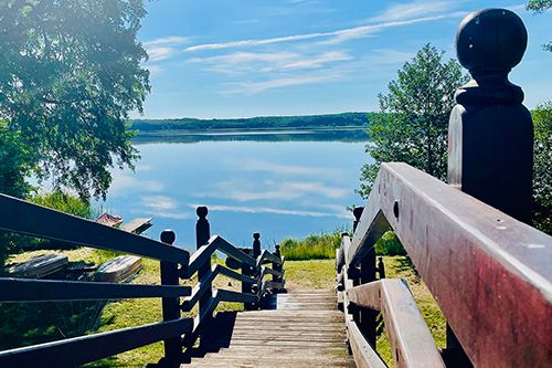 Holztreppe führt zu einem ruhigen See, umgeben von Bäumen und blauem Himmel.