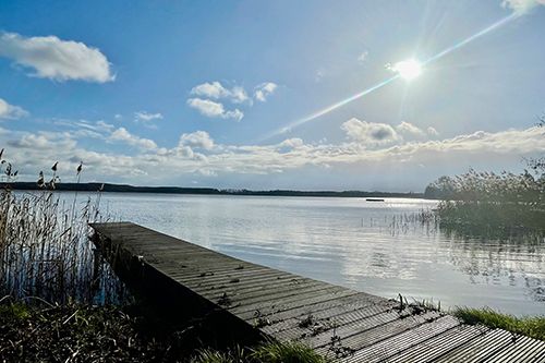 Holzsteg am Seeufer mit ruhigem Wasser und Schilf im Vordergrund, unter einem sonnigen blauen Himmel.